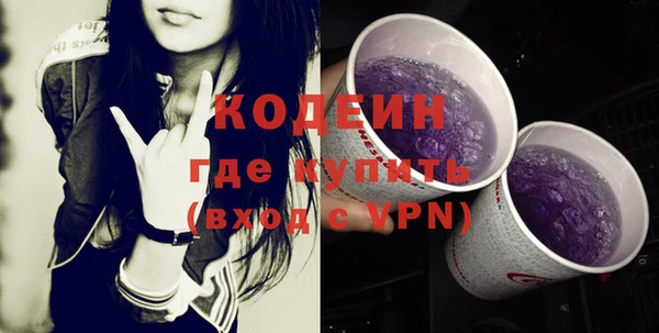 прущие грибы Елабуга