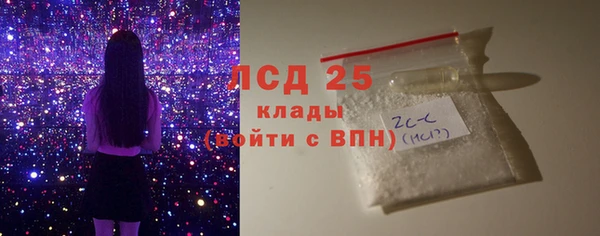 стафф Ельня