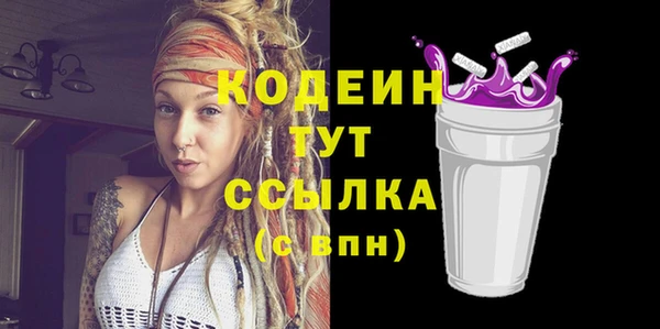 стафф Ельня