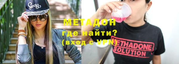 прущие грибы Елабуга