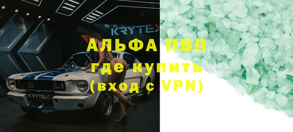прущие грибы Елабуга