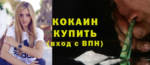 стафф Ельня