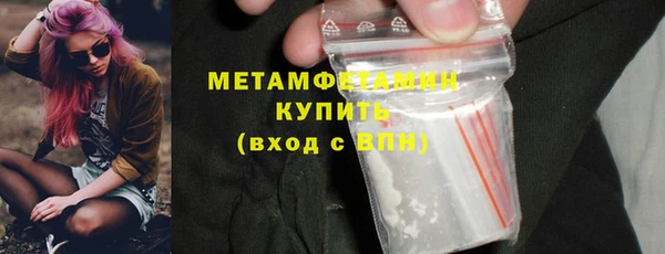 прущие грибы Елабуга
