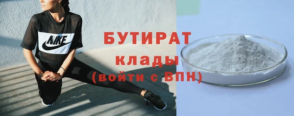 стафф Ельня