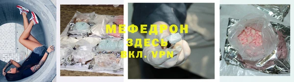 прущие грибы Елабуга