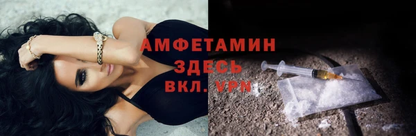 стафф Ельня
