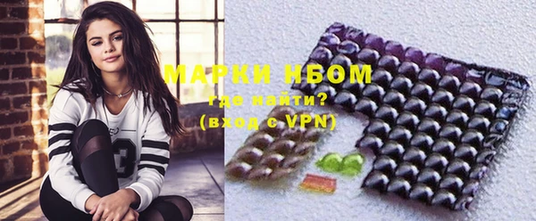 прущие грибы Елабуга