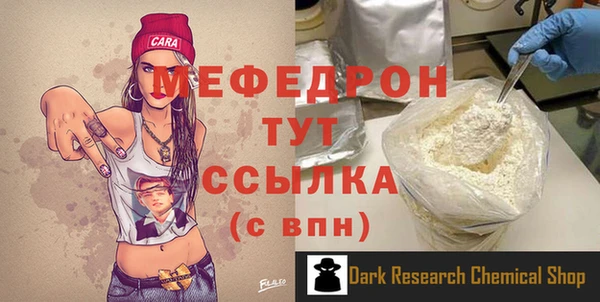 прущие грибы Елабуга