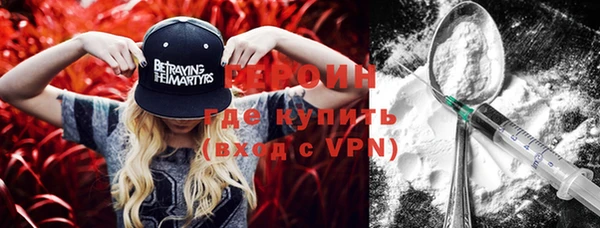 прущие грибы Елабуга