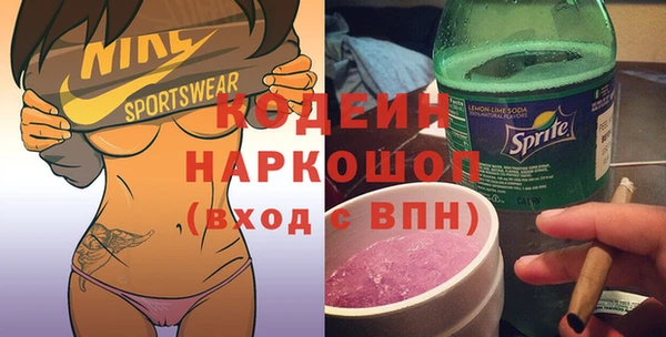 прущие грибы Елабуга