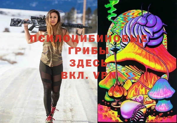 прущая мука Елизово