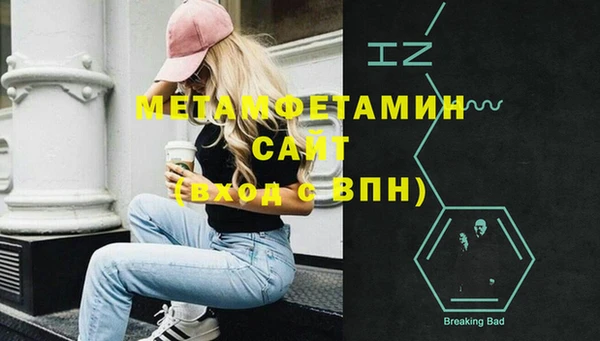 прущие грибы Елабуга