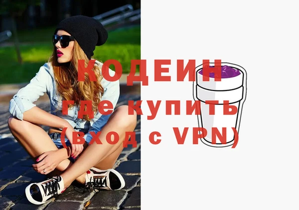 прущие грибы Елабуга