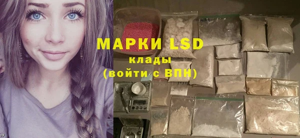 прущие грибы Елабуга