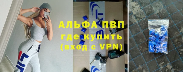 стафф Ельня