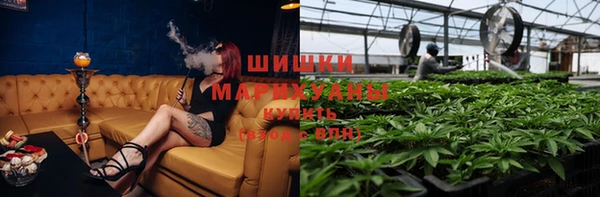 стафф Ельня