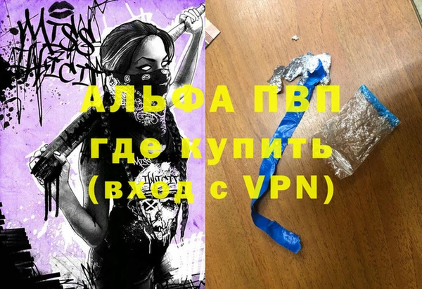 стафф Ельня