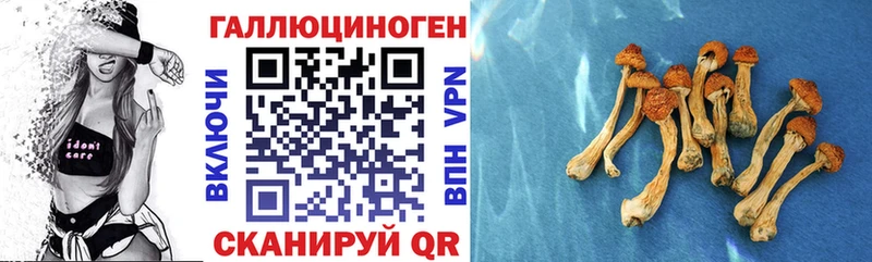 Галлюциногенные грибы Cubensis  Новочеркасск 